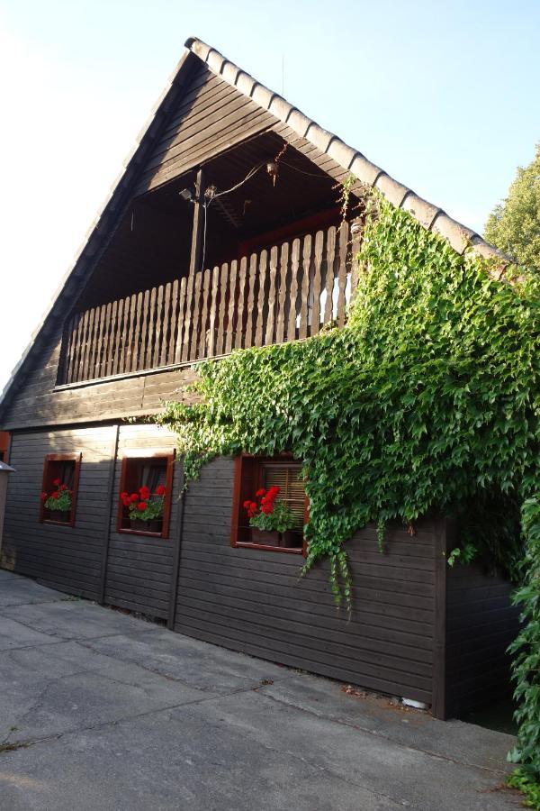Pod Lípou Hotel Dolní Brusnice Exterior foto