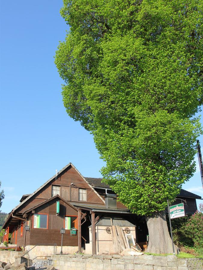 Pod Lípou Hotel Dolní Brusnice Exterior foto